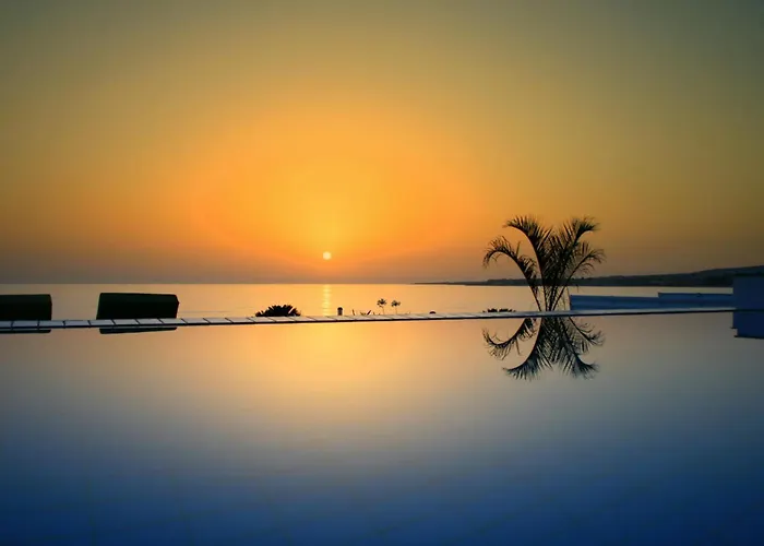 Blue Coral Three Exclusive - Poseidon - Nautilus - Oceanos - And - Baby Coral * Coral Bay